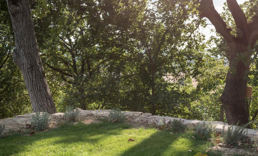 B&B Cantico Delle Creature Assisi Exterior photo